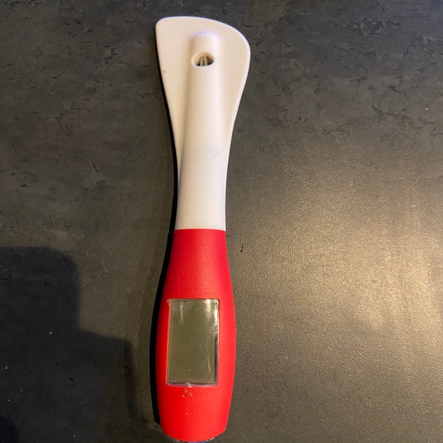 Spatule thermomètre digital en silicone Zodio