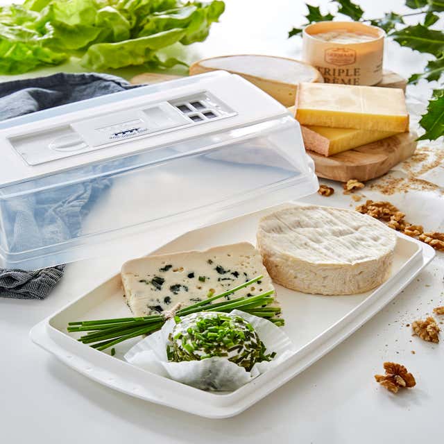 Filtre anti-odeur pour cave à fromage TEFAL : le lot de 6 recharges à Prix  Carrefour