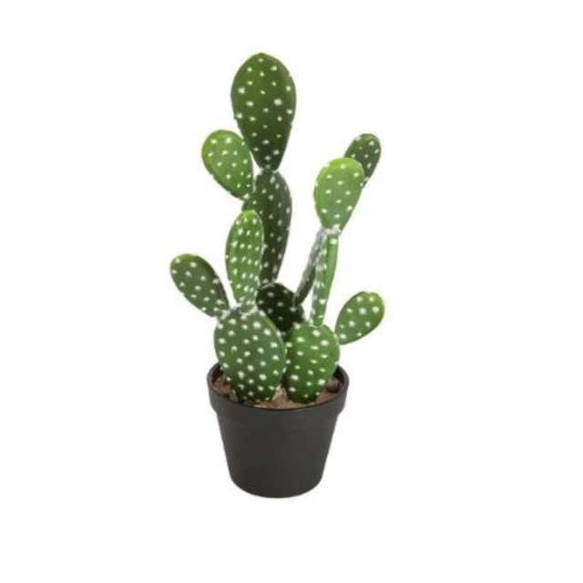4 pinces à nappe cactus
